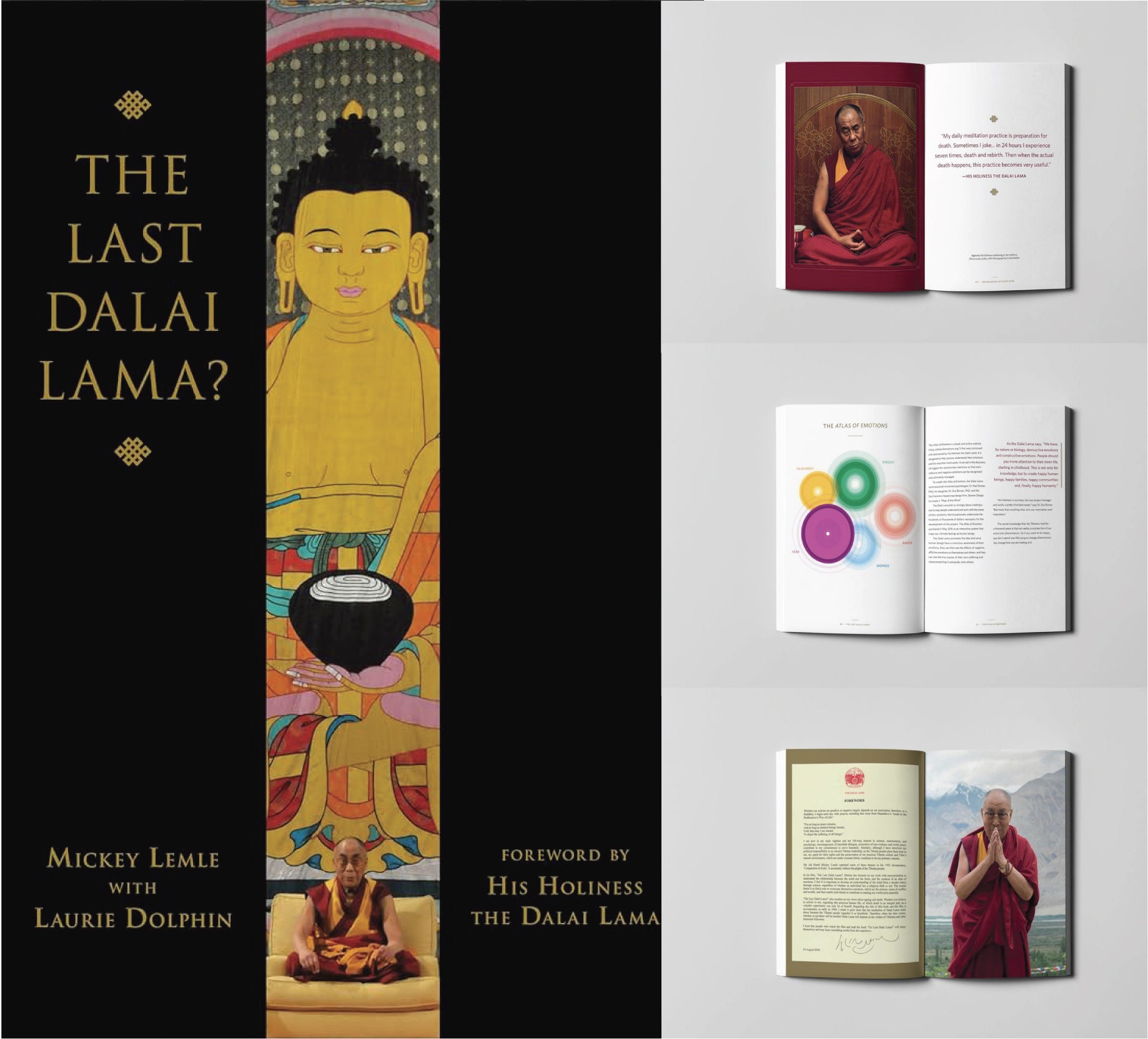 The Last Dalai Lama?  By Mickey Lemle with Laurie Dolphin