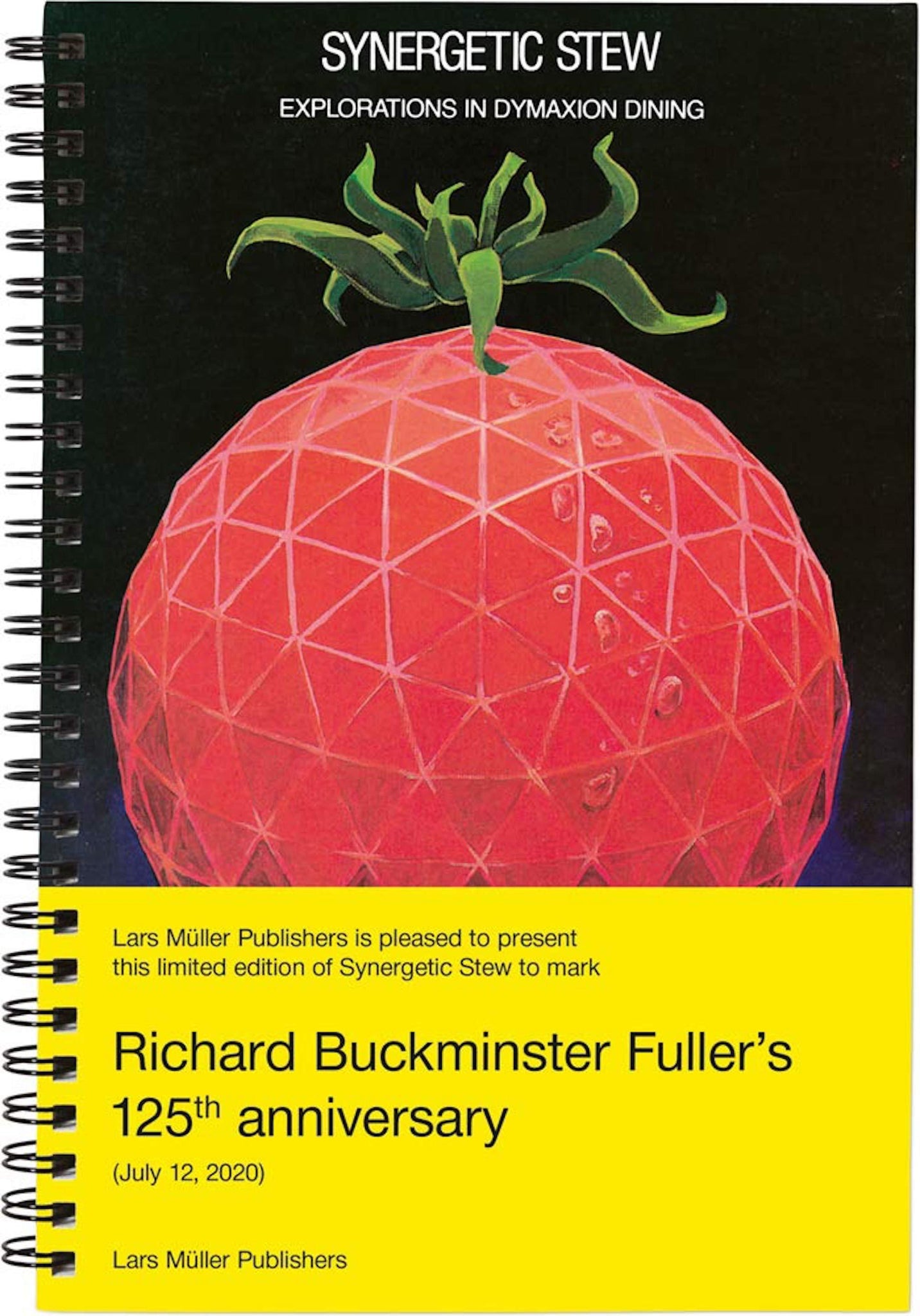 Synergetic Stew (in honor of Buckminster Fuller)