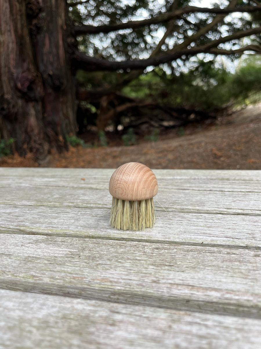 Round Mushroom Brush