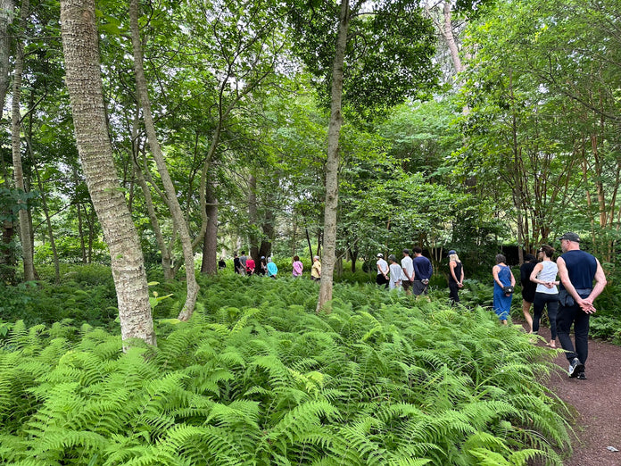 Walking Meditation (Sunday)