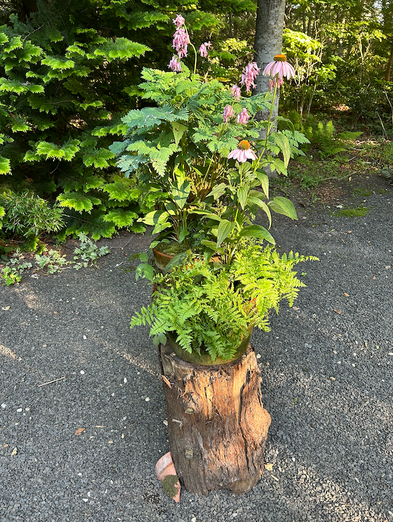 Planters ON+OFF the Ground XII (July 20-Oct 5)