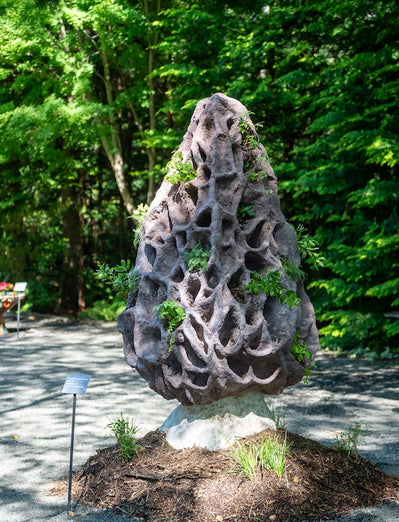 Planters ON+OFF the Ground XII (July 20-Oct 5)