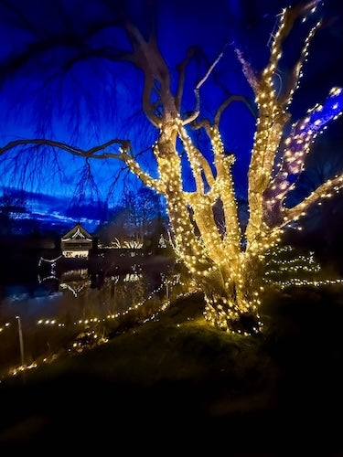 LongHouse Illuminated