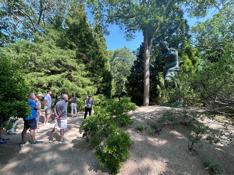 Wednesday Walks