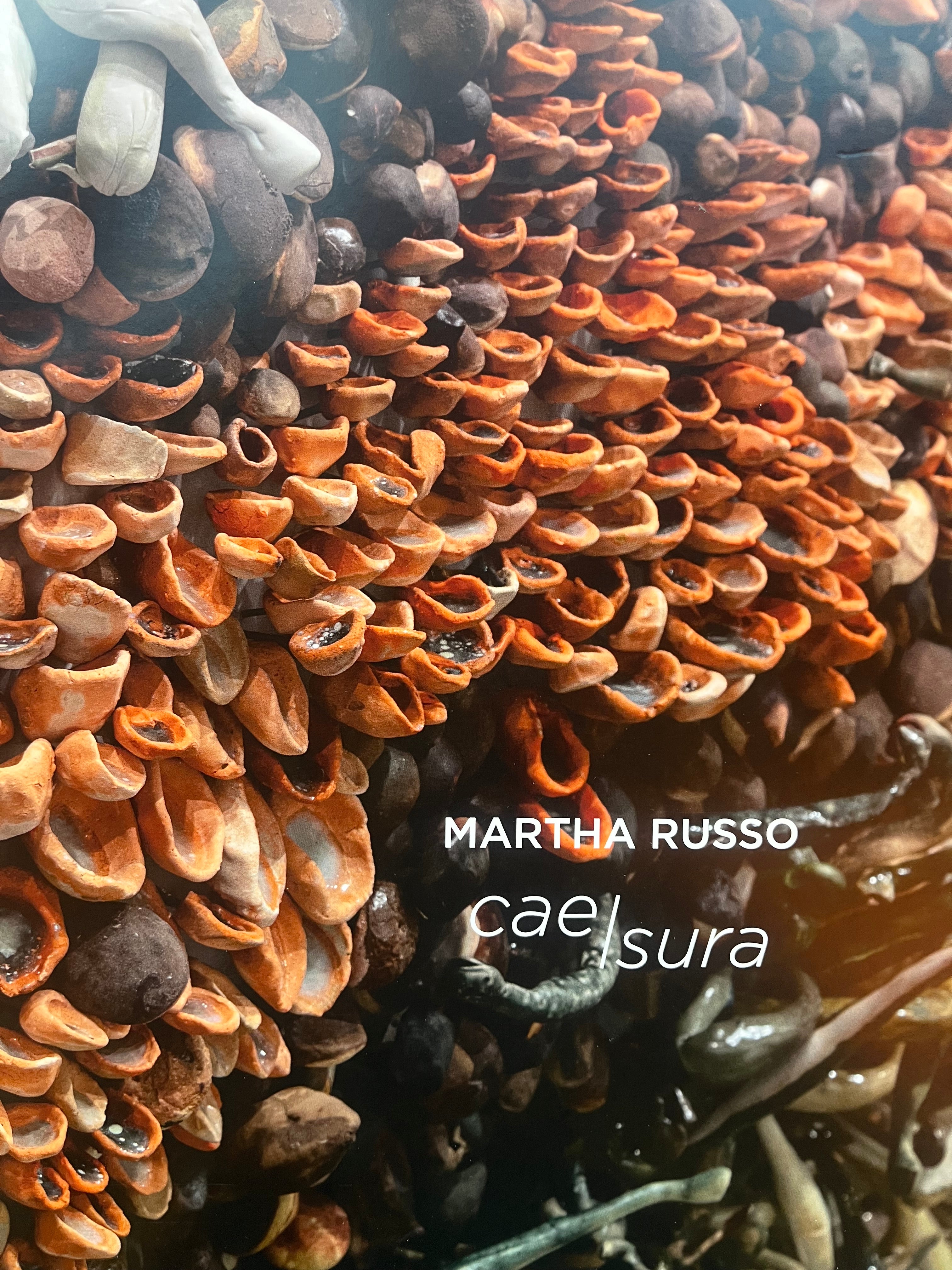 Martha Russo Cae Sura Book