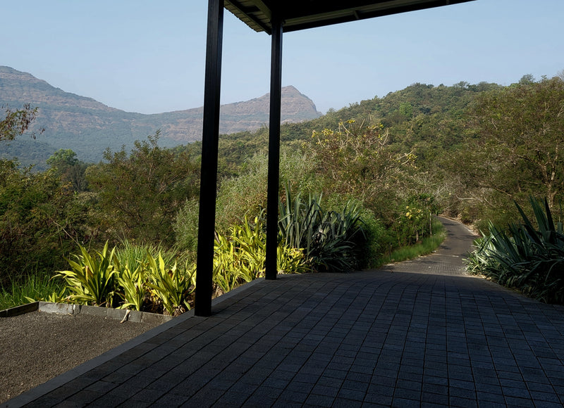 LH Talk: Wild Landscapes, Margie Ruddick's Design with Nature