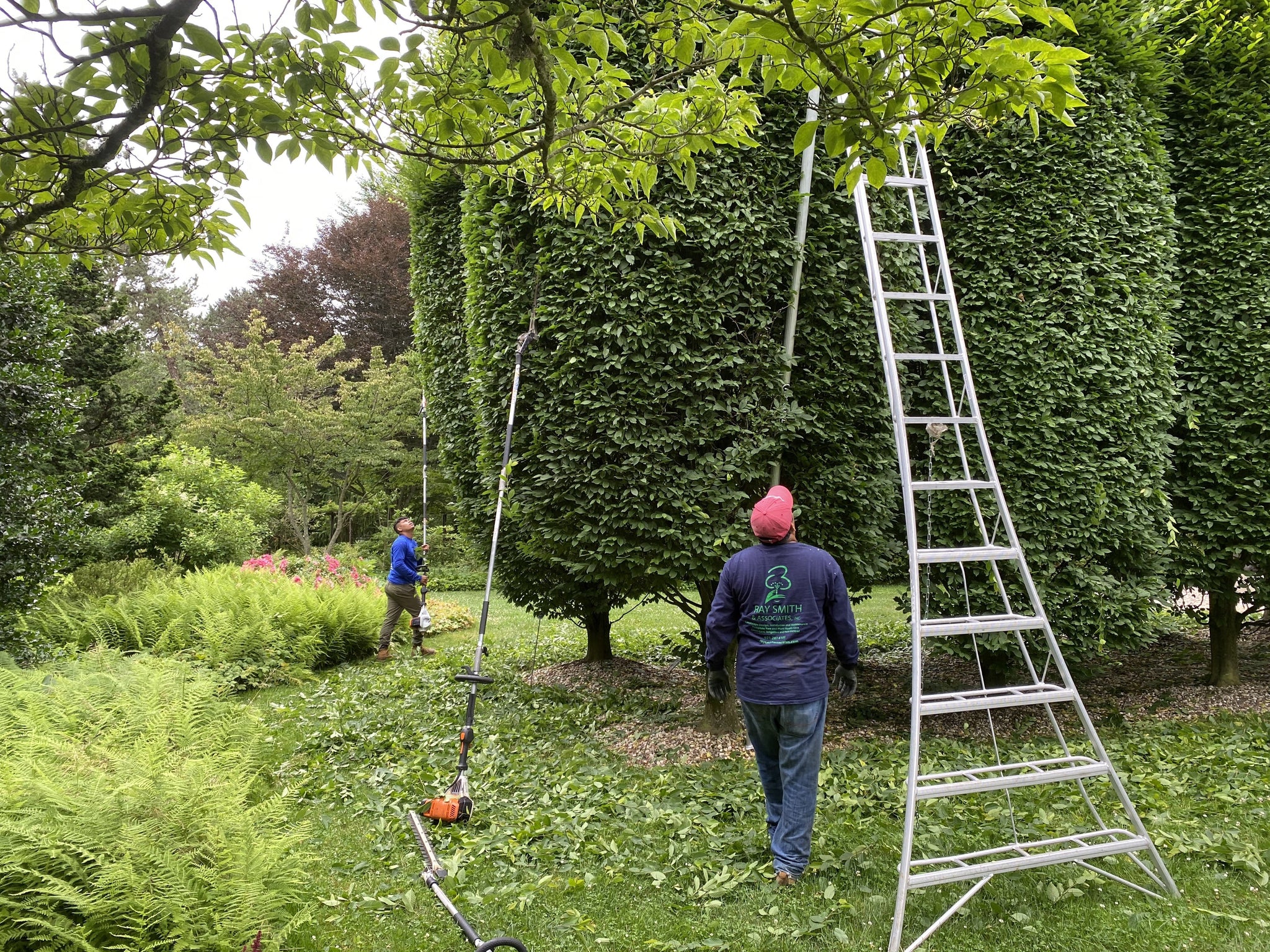 Garden Support