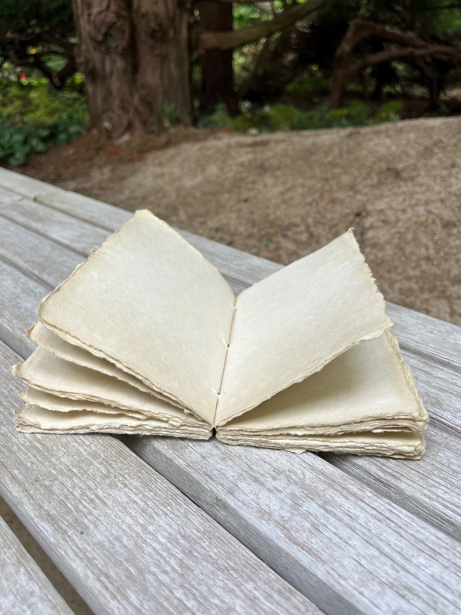 Handmade Paper Beatle Notebook